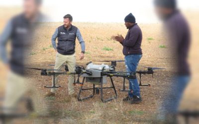 Drone spraying in orchards