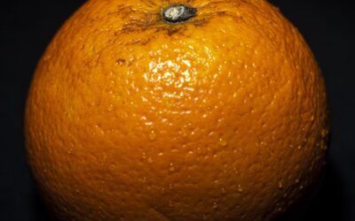 Key challenges needed to be overcome to ensure the survival of citrus