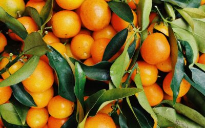 Citrus industry faces more challenges